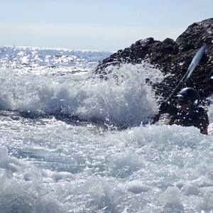 Meet your Posher, Patti